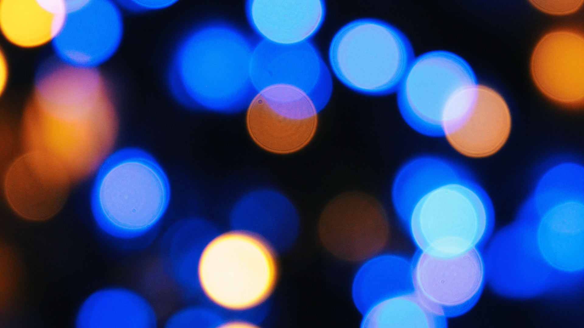 Rückblick und Ausblick