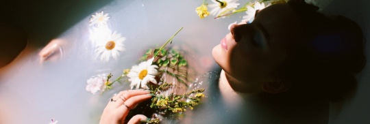 banner-picture