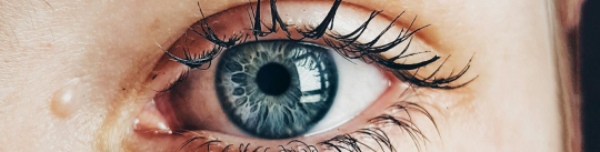 banner-picture