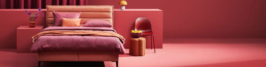 banner-picture