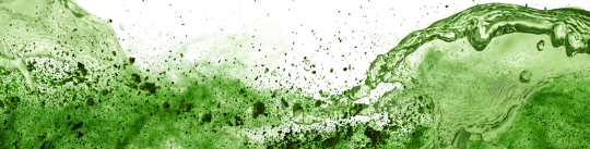 banner-picture