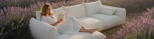 banner-picture