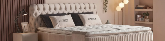 banner-picture