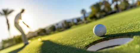 banner-picture