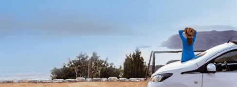 banner-picture