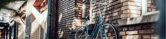 banner-picture