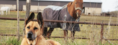 banner-picture