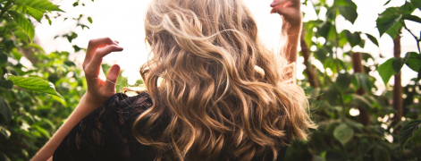banner-picture