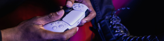 banner-picture