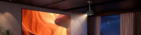 banner-picture