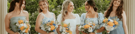 banner-picture