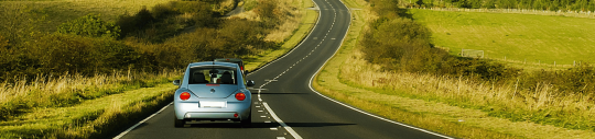 banner-picture