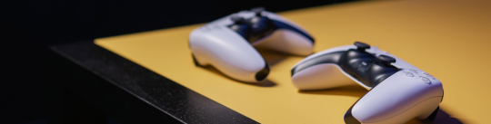 banner-picture