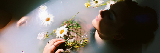 banner-picture