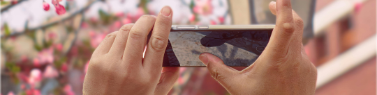 banner-picture