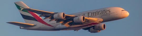 banner-picture