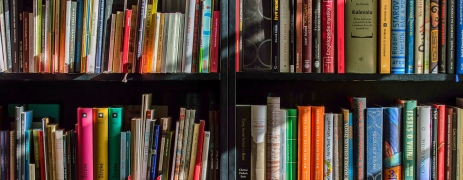 banner-picture