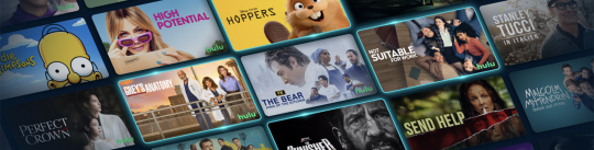 banner-picture